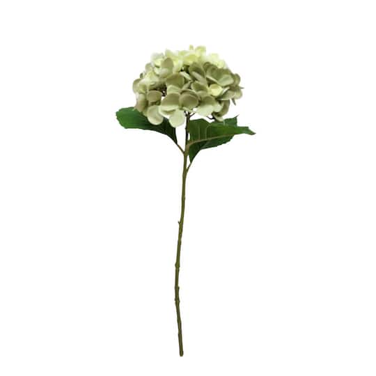 24.5" Green Hydrangea Real Touch Stem by Ashland®